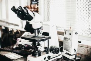 lab 2